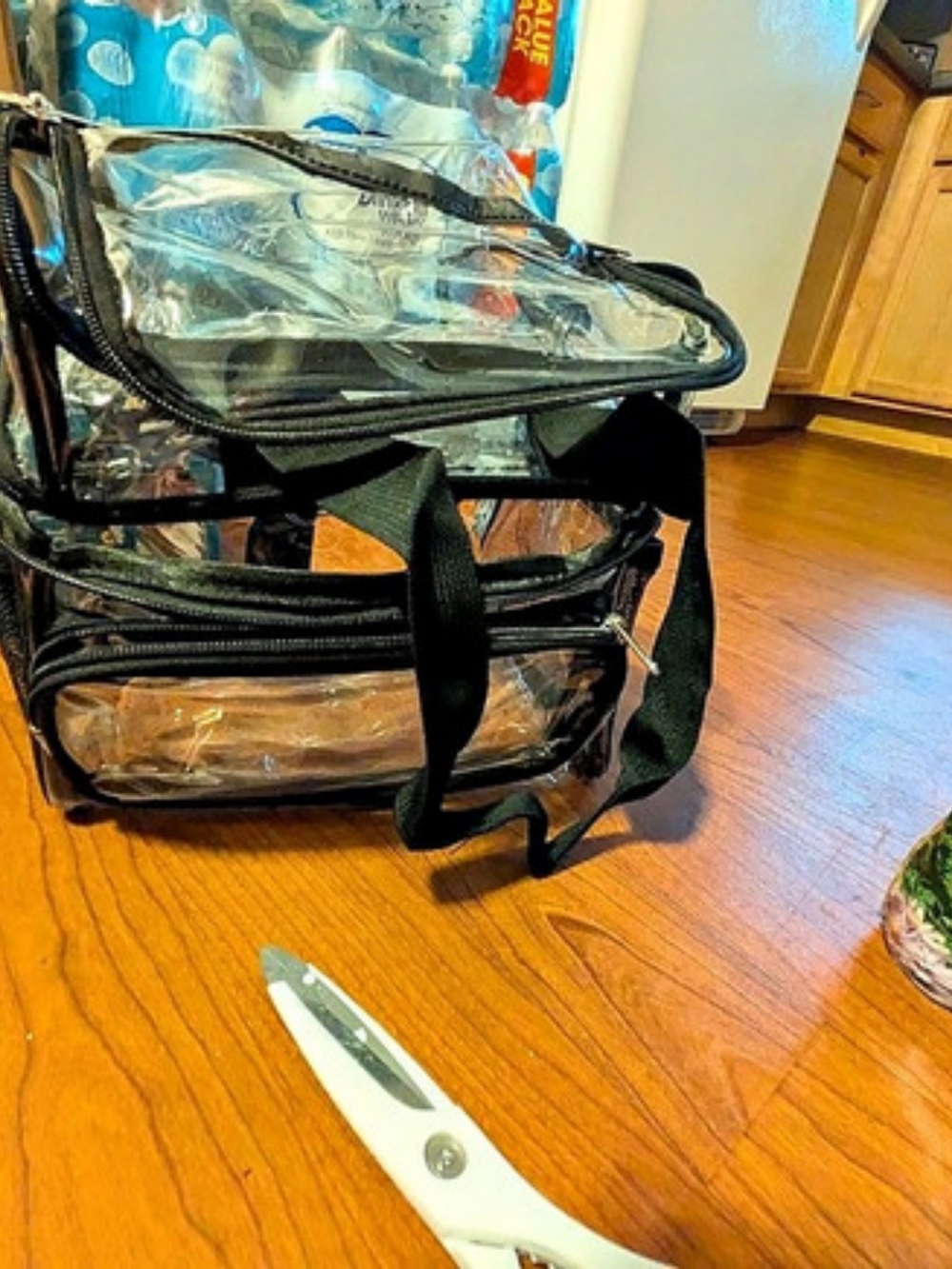 Clear Stadium Bag